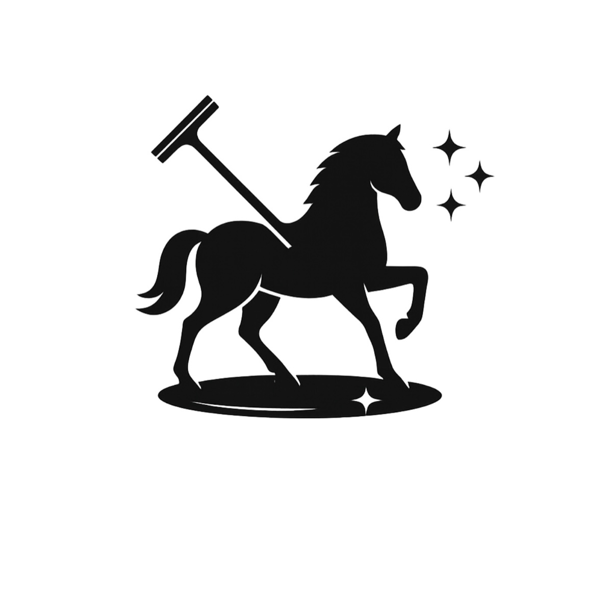 Glanzreiter Reinigungspartner